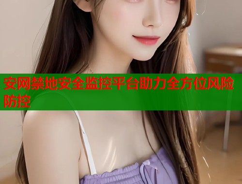 安网禁地安全监控平台助力全方位风险防控  第2张