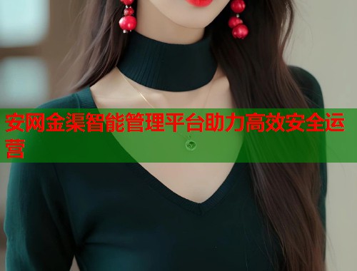 安网金渠智能管理平台助力高效安全运营