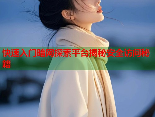 快速入门暗网探索平台揭秘安全访问秘籍