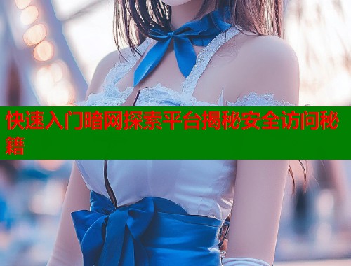 快速入门暗网探索平台揭秘安全访问秘籍  第2张