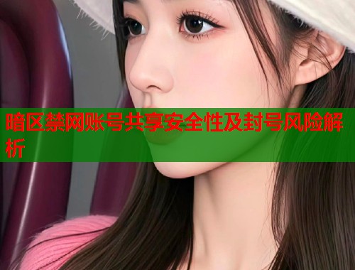 暗区禁网账号共享安全性及封号风险解析