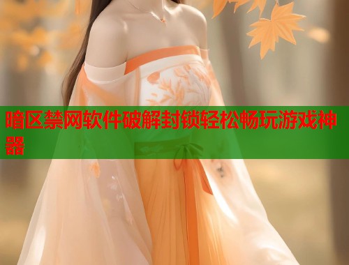 暗区禁网软件破解封锁轻松畅玩游戏神器
