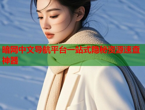 暗网中文导航平台一站式隐秘资源速查神器  第1张
