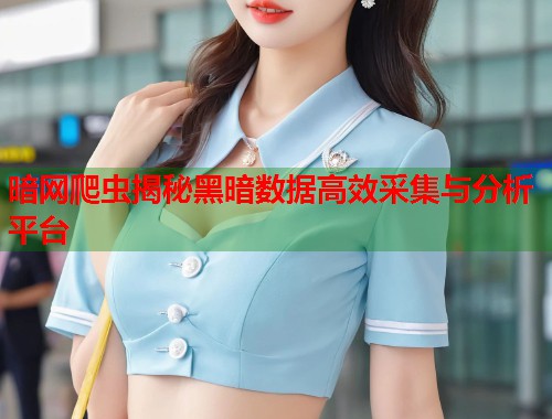 暗网爬虫揭秘黑暗数据高效采集与分析平台