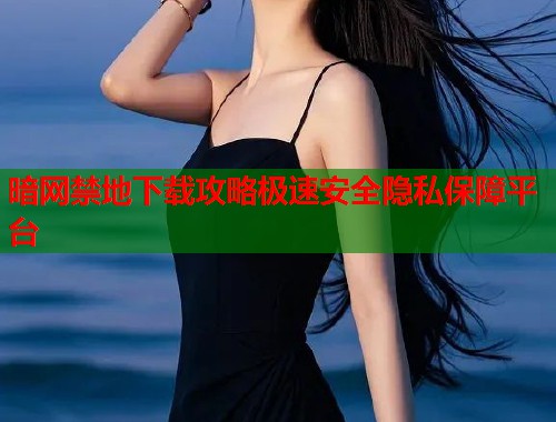 暗网禁地下载攻略极速安全隐私保障平台  第2张