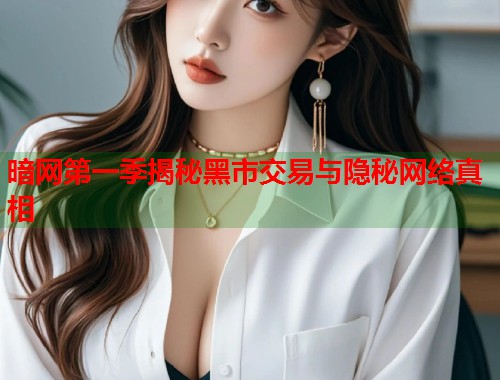 暗网第一季揭秘黑市交易与隐秘网络真相  第1张