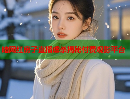 暗网红房子直播虐杀揭秘付费观影平台
