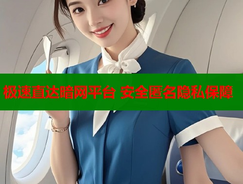 极速直达暗网平台 安全匿名隐私保障