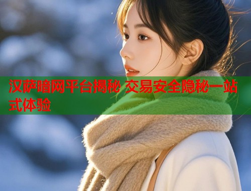 汉萨暗网平台揭秘 交易安全隐秘一站式体验
