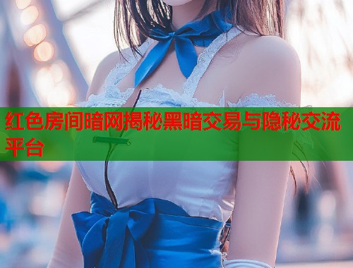 红色房间暗网揭秘黑暗交易与隐秘交流平台  第1张