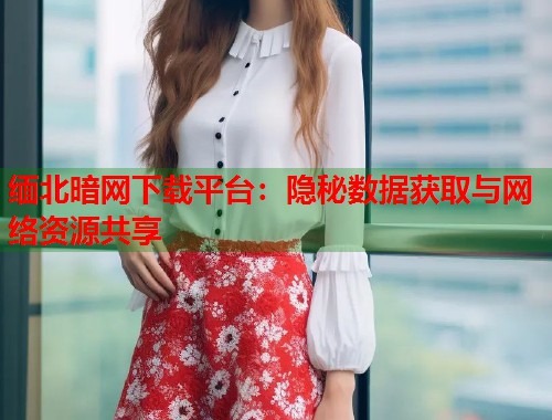 缅北暗网下载平台：隐秘数据获取与网络资源共享