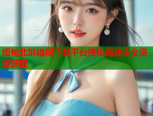缅甸北部暗网下载平台揭秘高速安全资源获取  第2张