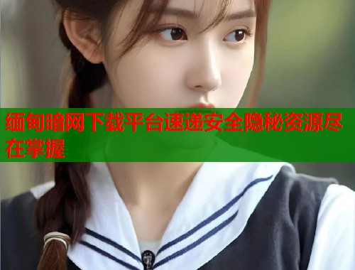 缅甸暗网下载平台速递安全隐秘资源尽在掌握