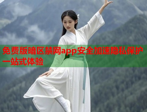 免费版暗区禁网app安全加速隐私保护一站式体验  第2张