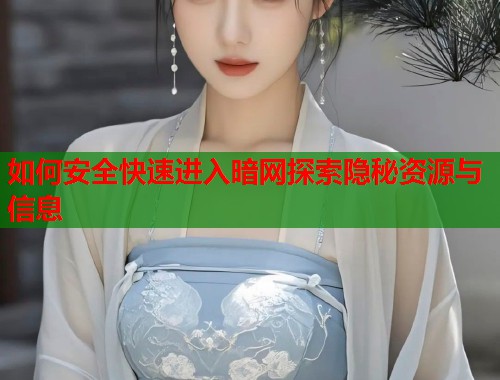 如何安全快速进入暗网探索隐秘资源与信息