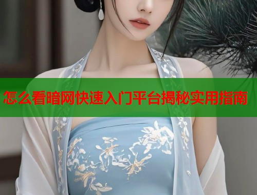 怎么看暗网快速入门平台揭秘实用指南  第2张
