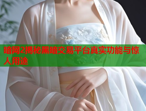 暗网2揭秘黑暗交易平台真实功能与惊人用途