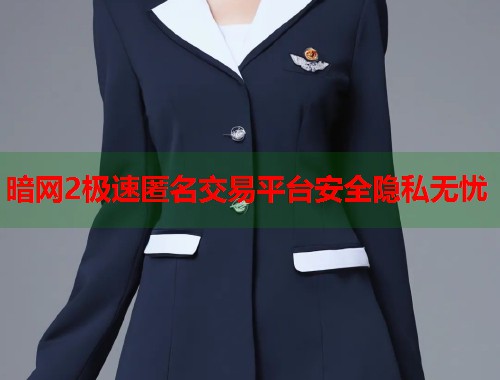 暗网2极速匿名交易平台安全隐私无忧  第2张