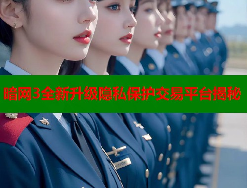 暗网3全新升级隐私保护交易平台揭秘