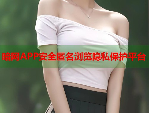 暗网APP安全匿名浏览隐私保护平台