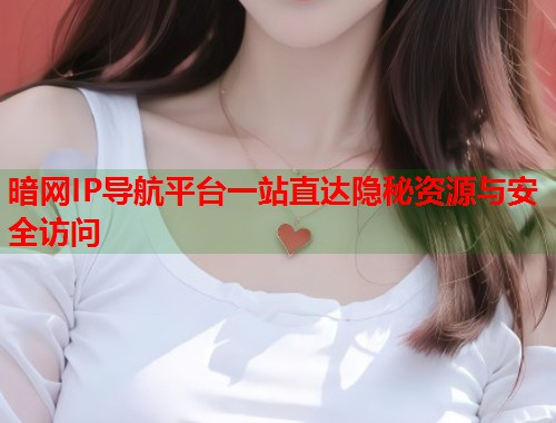 暗网IP导航平台一站直达隐秘资源与安全访问