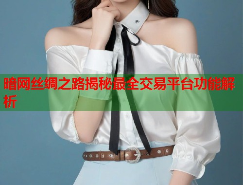 暗网丝绸之路揭秘最全交易平台功能解析