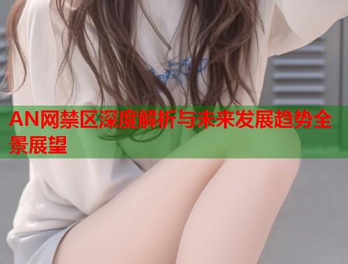 AN网禁区深度解析与未来发展趋势全景展望  第2张
