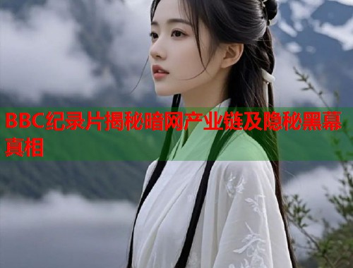 BBC纪录片揭秘暗网产业链及隐秘黑幕真相