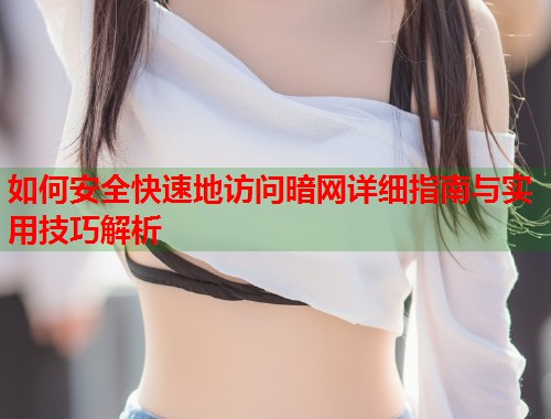 如何安全快速地访问暗网详细指南与实用技巧解析