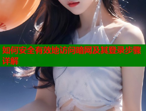 如何安全有效地访问暗网及其登录步骤详解  第2张