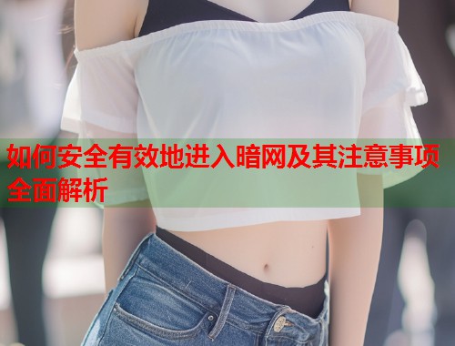 如何安全有效地进入暗网及其注意事项全面解析