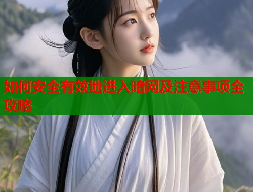 如何安全有效地进入暗网及注意事项全攻略
