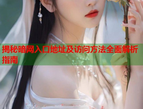 揭秘暗网入口地址及访问方法全面解析指南