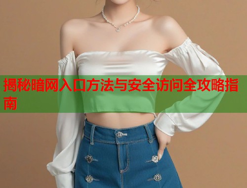 揭秘暗网入口方法与安全访问全攻略指南