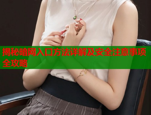 揭秘暗网入口方法详解及安全注意事项全攻略