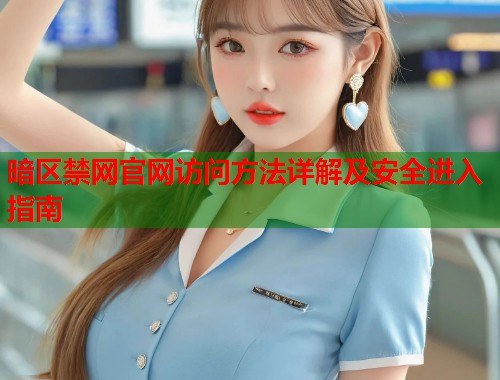 暗区禁网官网访问方法详解及安全进入指南