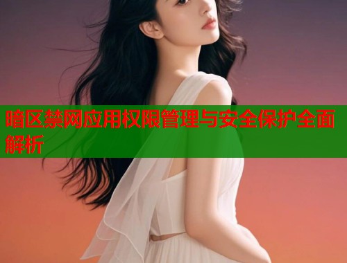 暗区禁网应用权限管理与安全保护全面解析  第2张