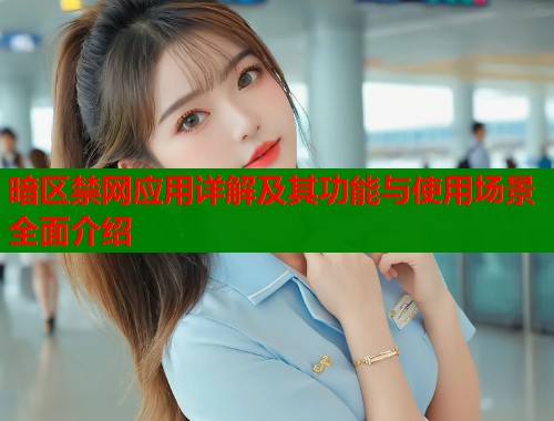 暗区禁网应用详解及其功能与使用场景全面介绍