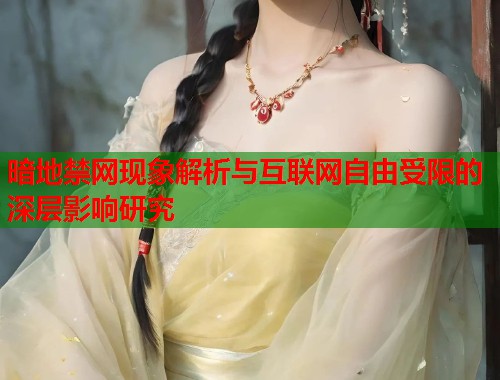 暗地禁网现象解析与互联网自由受限的深层影响研究