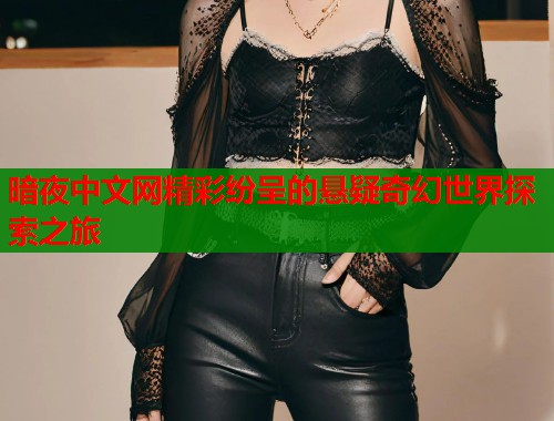 暗夜中文网精彩纷呈的悬疑奇幻世界探索之旅  第1张