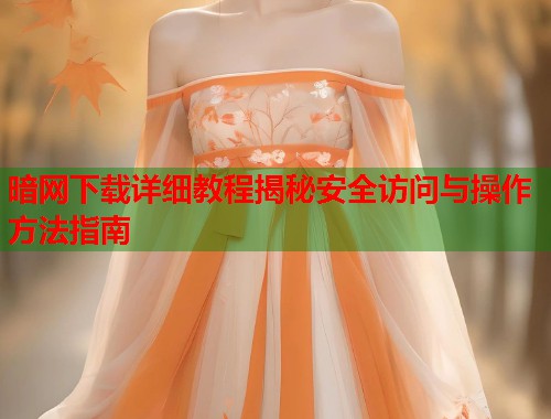暗网下载详细教程揭秘安全访问与操作方法指南