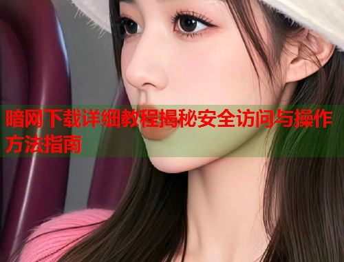 暗网下载详细教程揭秘安全访问与操作方法指南  第2张