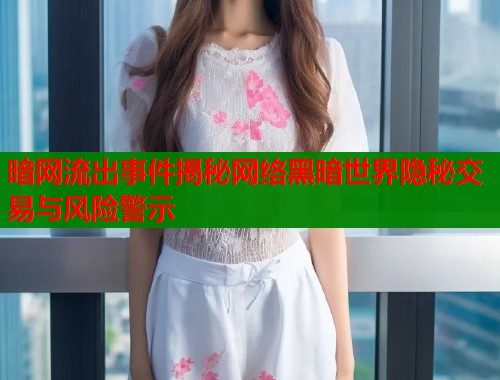 暗网流出事件揭秘网络黑暗世界隐秘交易与风险警示