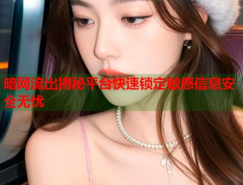 暗网流出揭秘平台快速锁定敏感信息安全无忧