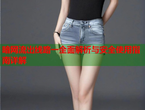 暗网流出线路一全面解析与安全使用指南详解