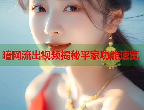 暗网流出视频揭秘平家功能速览