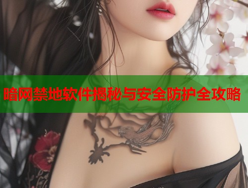暗网禁地软件揭秘与安全防护全攻略  第1张