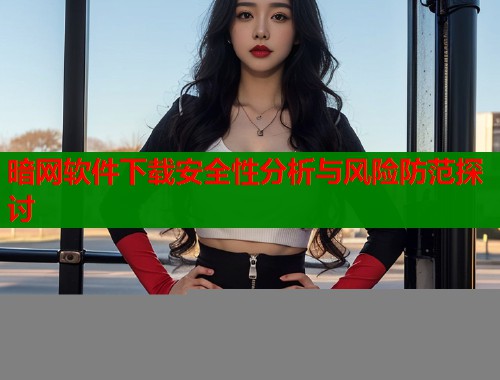 暗网软件下载安全性分析与风险防范探讨  第1张