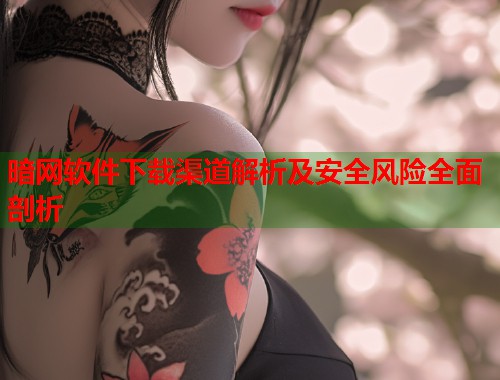 暗网软件下载渠道解析及安全风险全面剖析