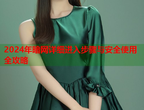 2024年暗网详细进入步骤与安全使用全攻略  第1张
